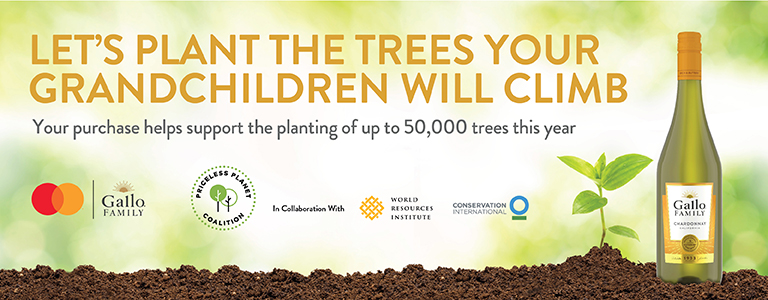 Let's plant the trees your grandchildren will climb. your purchase helps support the planting of up to 50,000 trees this year.